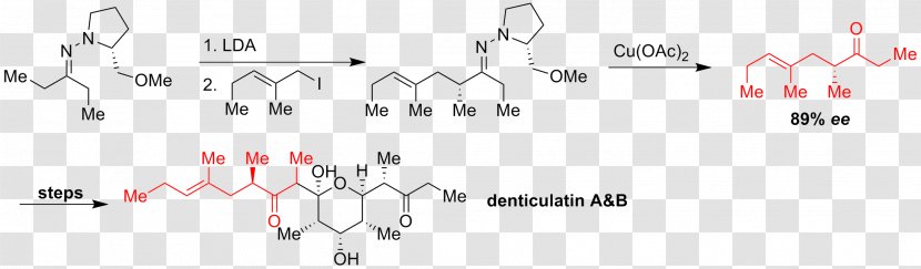 Enders SAMP/RAMP Hydrazone-alkylation Reaction Chiral Auxiliary Asymmetric Carbon - Tree - Dent Transparent PNG