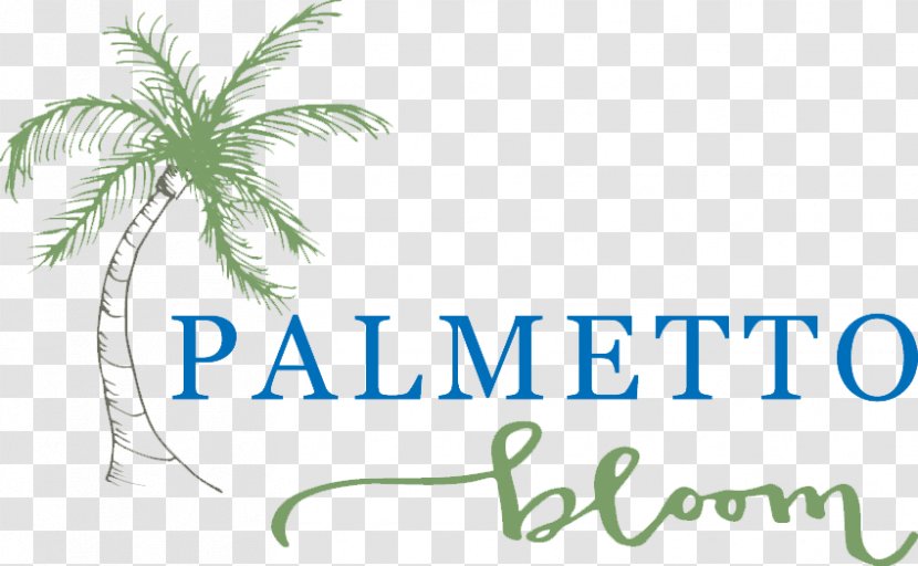 Wedding Flower Lowcountry Cuisine Floristry Palmetto Bloom - Sabal Palm - Fireworks Transparent PNG