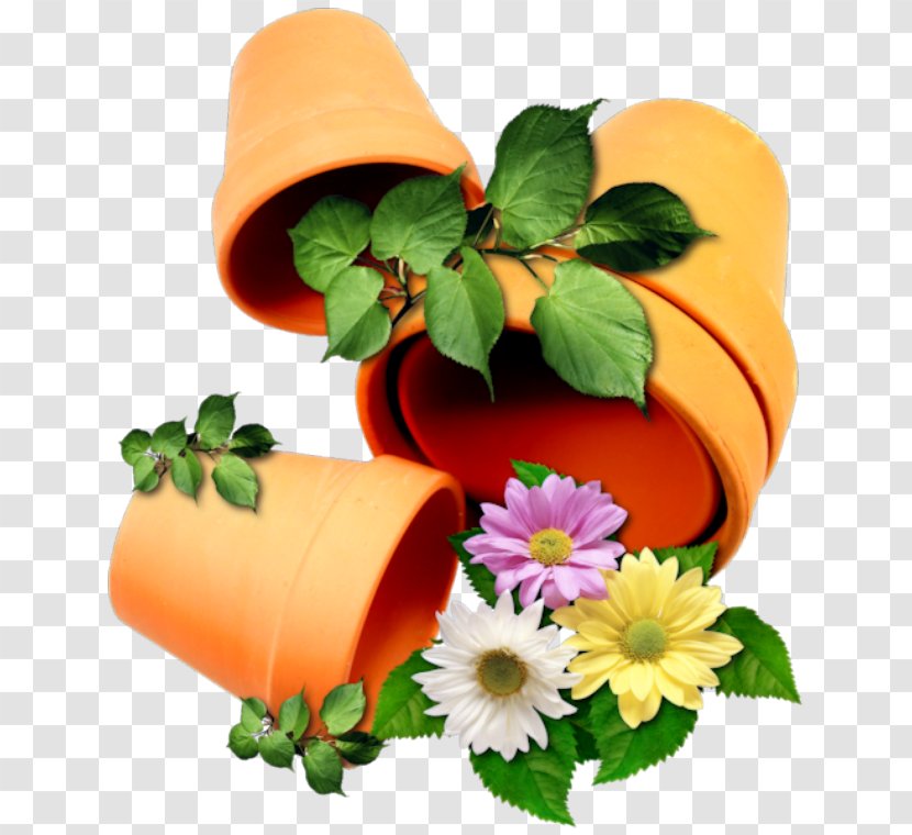 Flowerpot Rose Clip Art - Orange Sa - Flower Transparent PNG