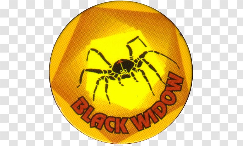 Widow Spiders Black Insect Animal - Spider Transparent PNG