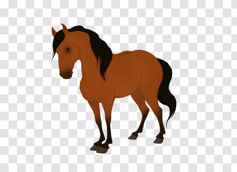 Mustang Pony American Paint Horse Stallion Foal Transparent PNG