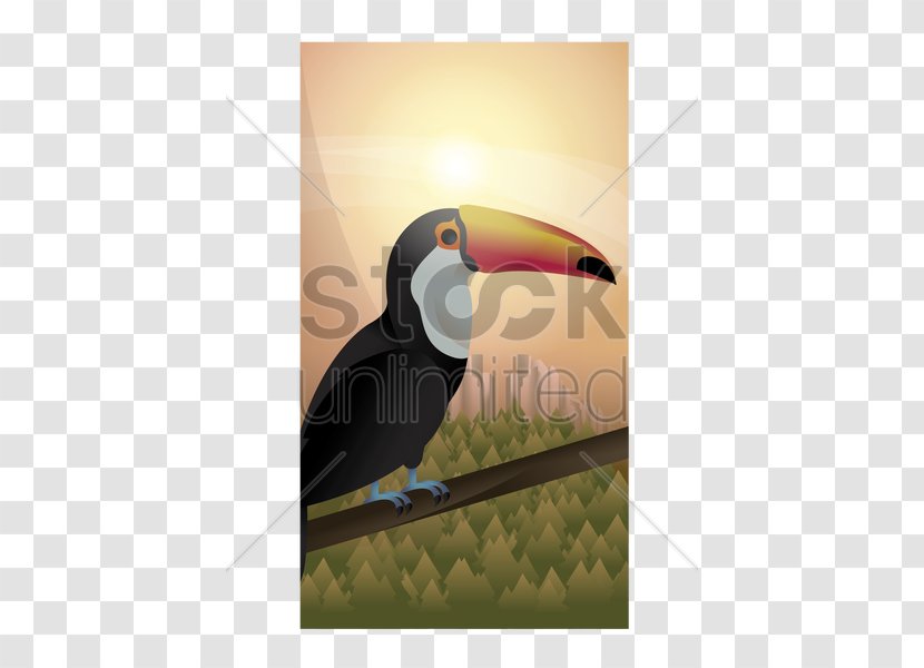 Toucan Beak Stock Photography - Bird - Toco Transparent PNG
