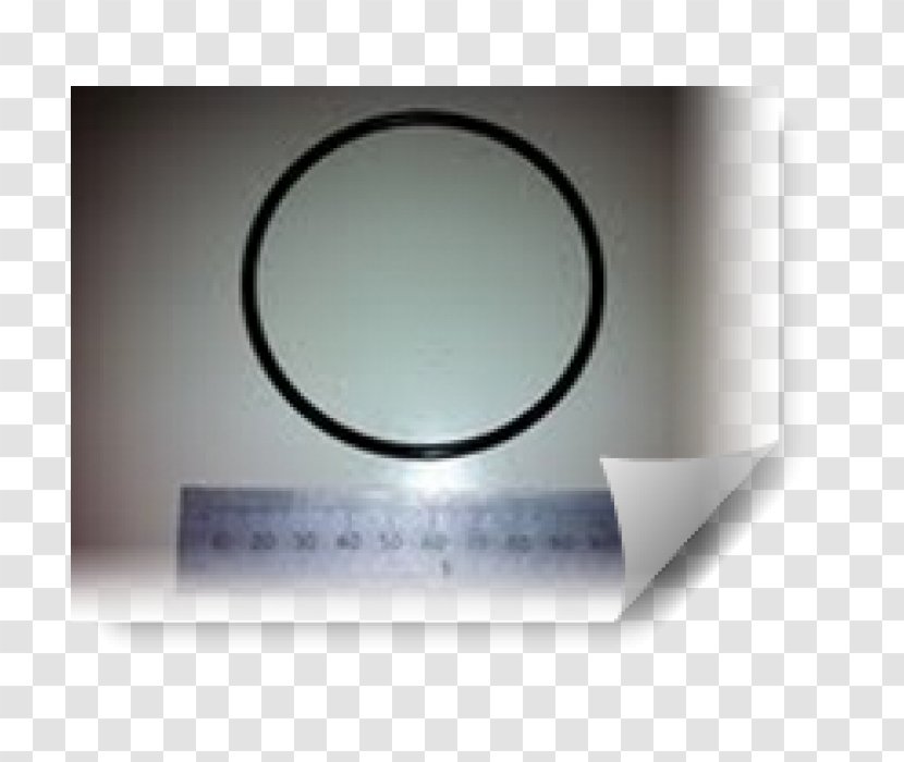 Water Filter O-ring Brand - Ring Transparent PNG