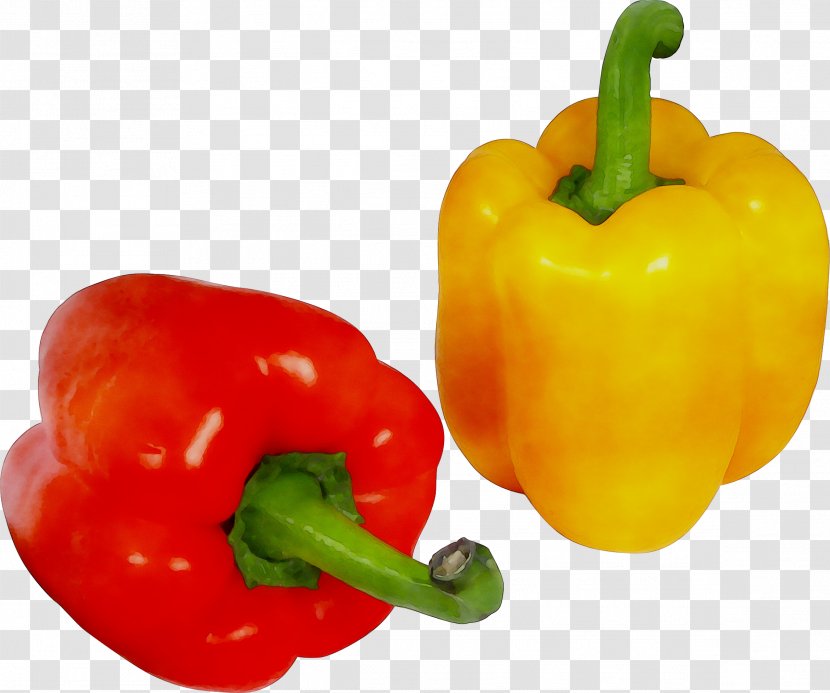 Habanero Yellow Pepper Chili Cayenne Bell - Vegetarian Food Transparent PNG