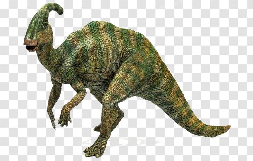 Tyrannosaurus Parasaurolophus Simulator Styracosaurus Dinosaur Transparent PNG