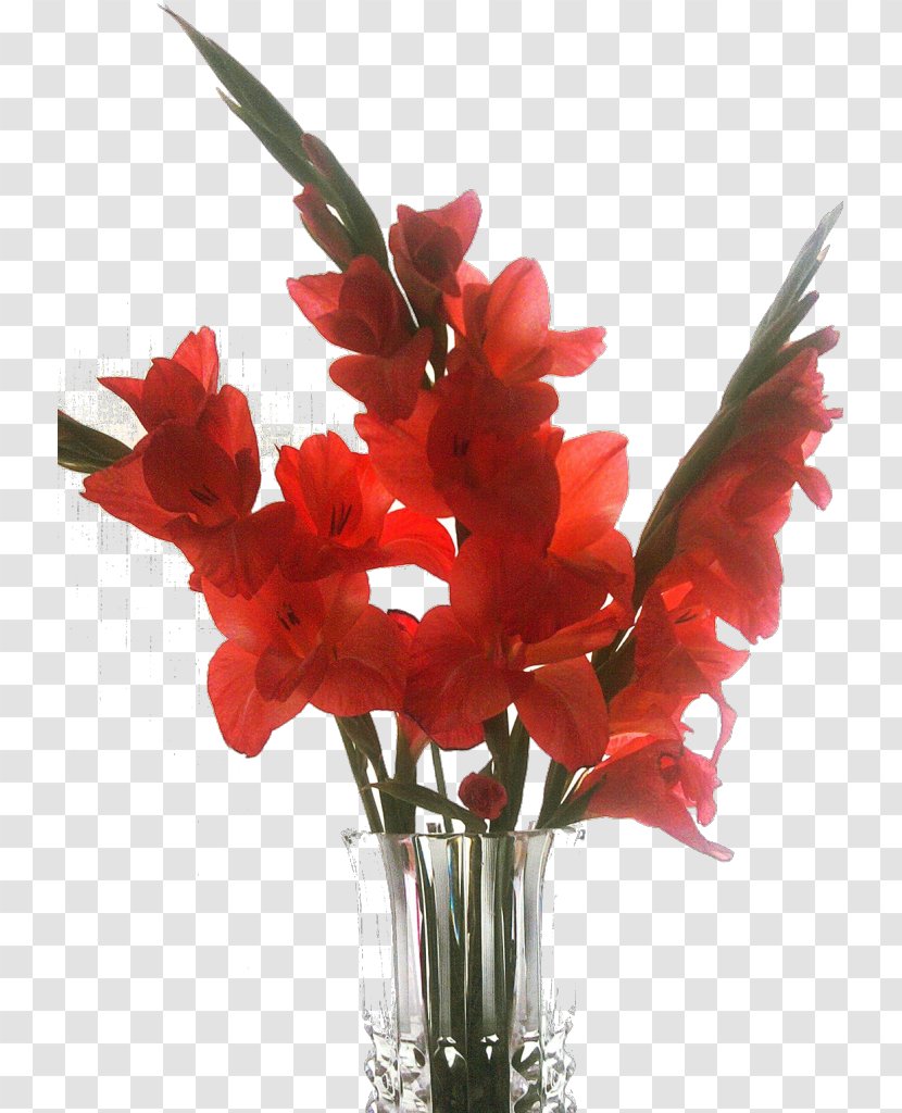 Gladiolus Vase Floral Design Cut Flowers Flower Bouquet - Leaf Transparent PNG