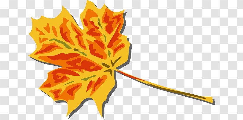 Autumn Leaf Color Clip Art - Flora - Folhagem Transparent PNG