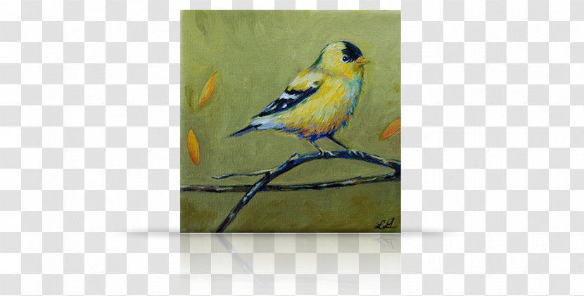 Finches Macaw Parakeet Painting Feather - Bluebird - Gold Birdcage Transparent PNG