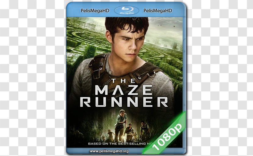 Dylan O'Brien The Maze Runner Blu-ray Disc Ultra HD - Death Cure - Dvd Transparent PNG