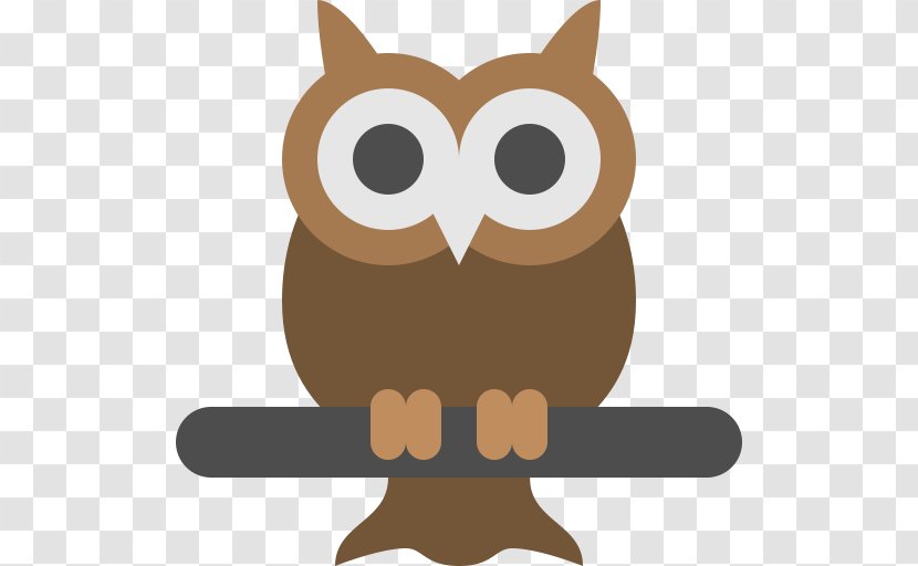 Owl - Bird - Owls Transparent PNG