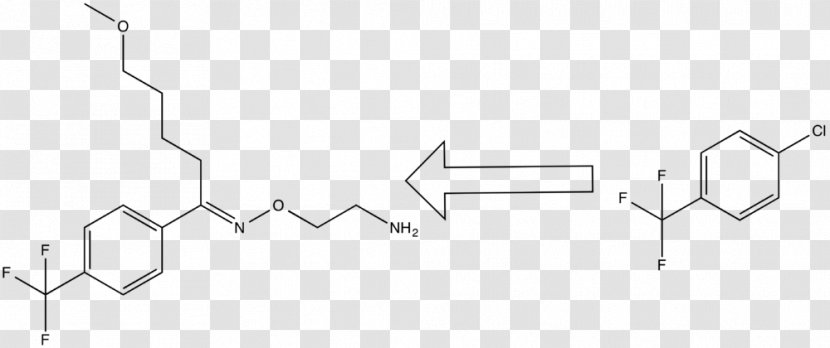 Tyrosine Phenylalanine Hydroxylase Essential Amino Acid Hydroxylasen - Data Conversion Transparent PNG