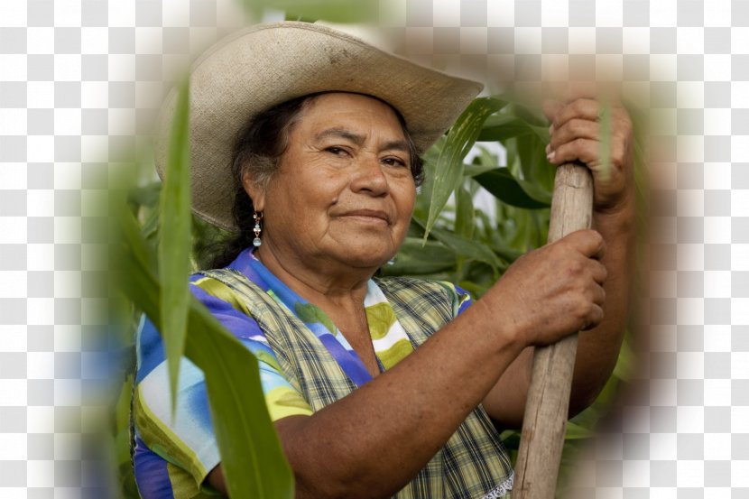 Peasant Agriculture Rural Area Woman Labor - Food Sovereignty Transparent PNG