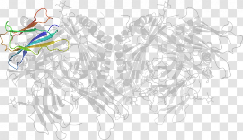 Graphic Design Line Art Sketch - Watercolor - Major Histocompatibility Complex Transparent PNG