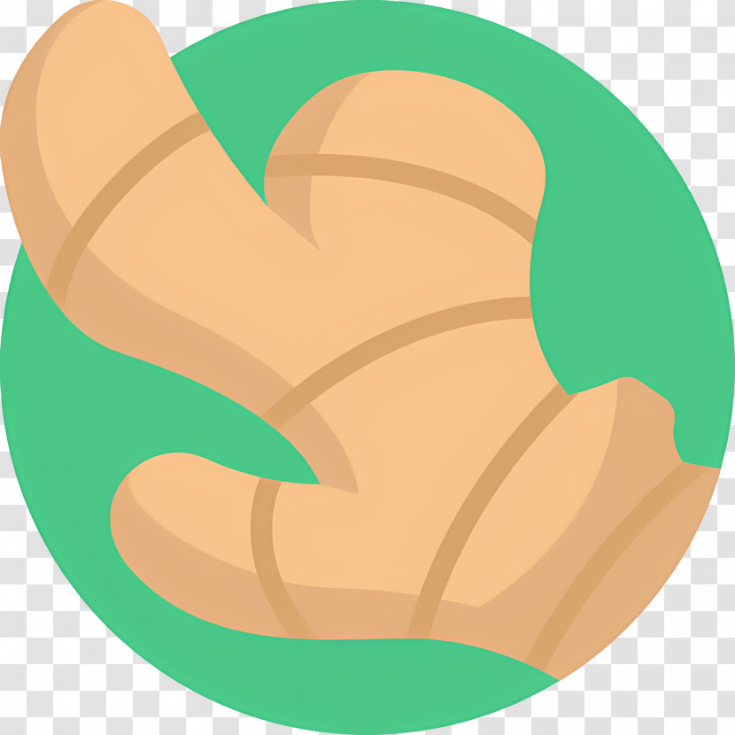 Turmeric - Ginger Root Illustration Transparent PNG