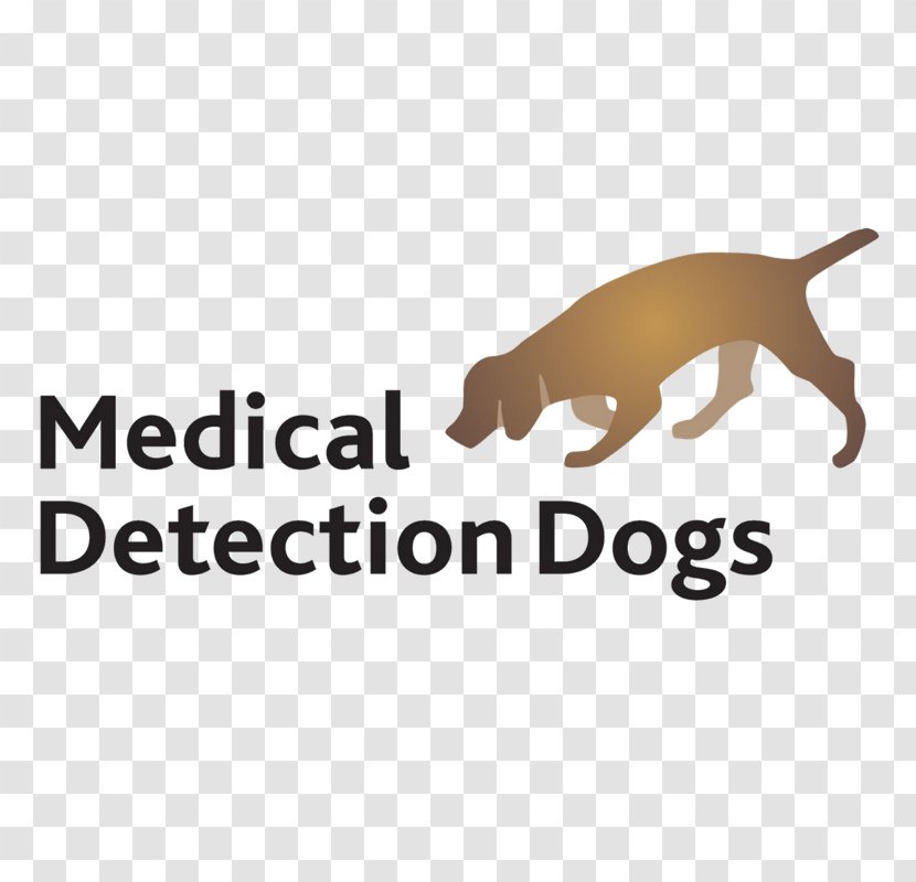 Health Care Hospital Medicine Medical Device - Carnivoran - Detection Dog Transparent PNG