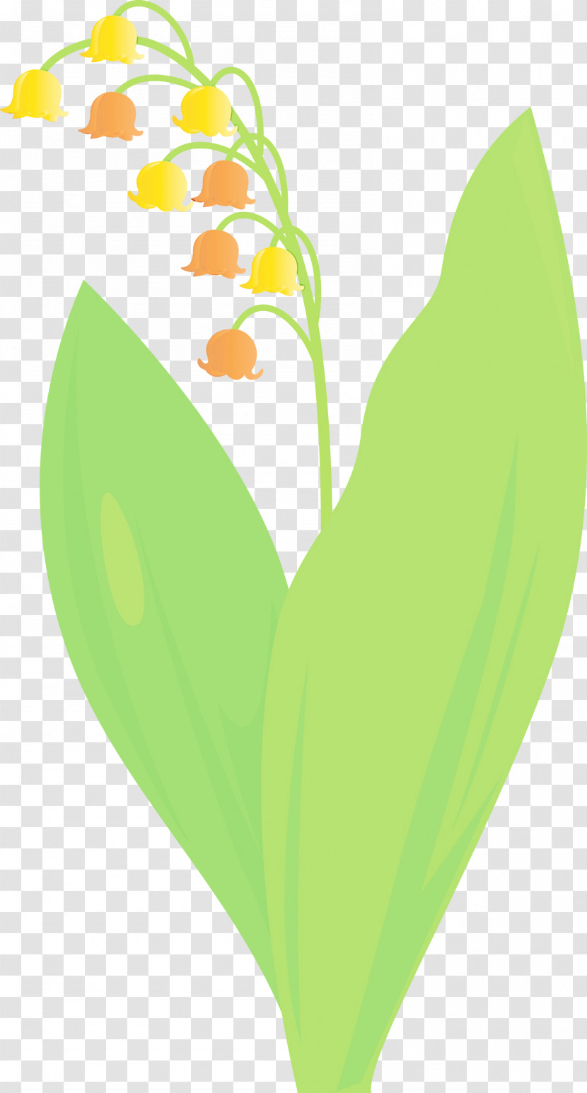 Leaf Green Lily Of The Valley Yellow Plant Transparent PNG
