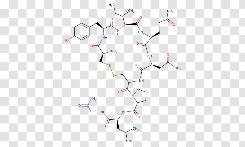 Peptide Synthesis Molecular Biology Chemical Amino Acid - Oxytocin Transparent PNG