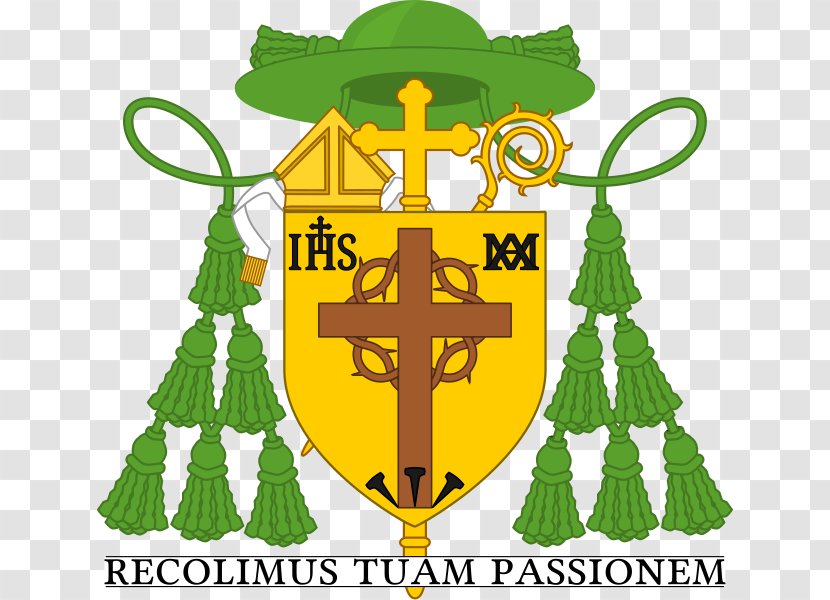 Archbishop Cardinal Diocese Christian Church - Symbol - Galero Transparent PNG