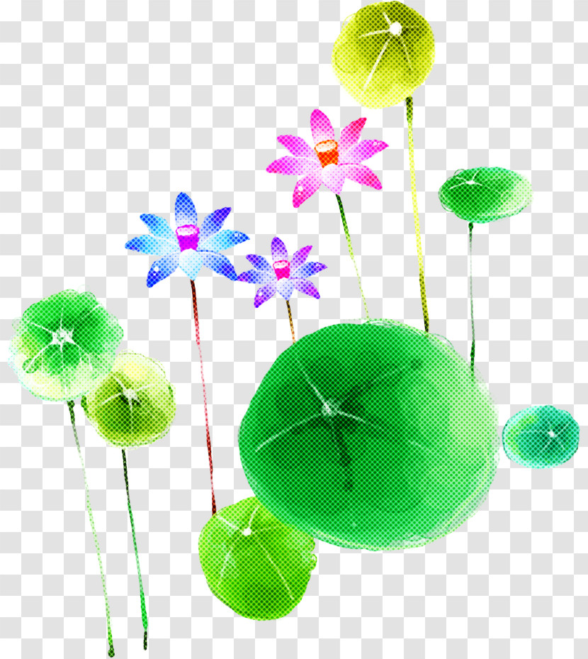 Plant Flower Plant Stem Transparent PNG