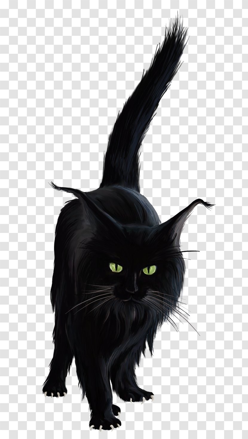 Black Cat Halloween Clip Art - Vertebrate - Horror Transparent PNG