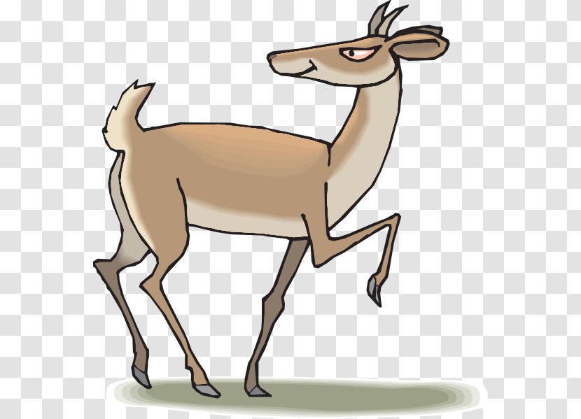 Antelope Pronghorn Deer Animal Illustrations Clip Art - Cliparts Transparent PNG