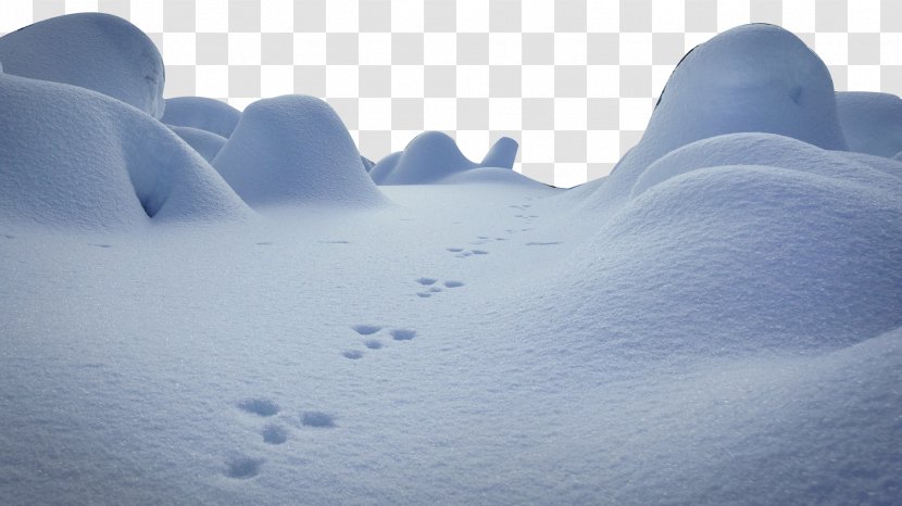 Snow Daxue Winter - Arctic - Creative Transparent PNG