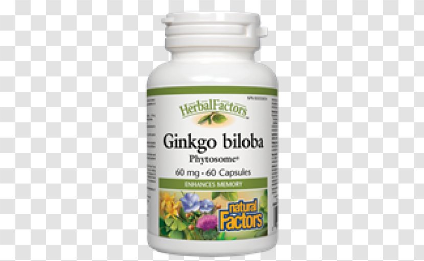 Phytosome Vegetarian Cuisine Ginkgo Biloba Health Food - Ginkgo-biloba Transparent PNG