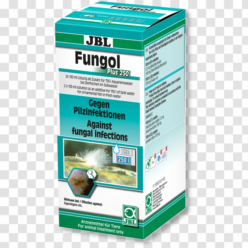 Infection Fungus Mycosis Pharmaceutical Drug Fish - Jbl Transparent PNG
