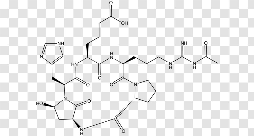 Argadin /m/02csf Chitinase Drawing - Cananga Odorata Transparent PNG