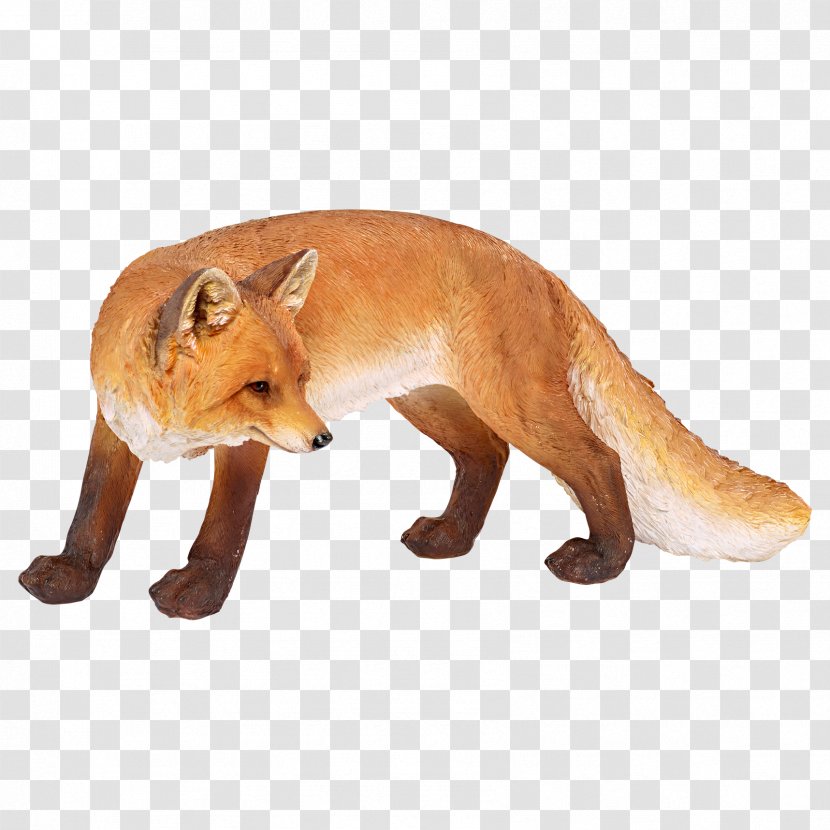 Red Fox Snout Terrestrial Animal - News Transparent PNG