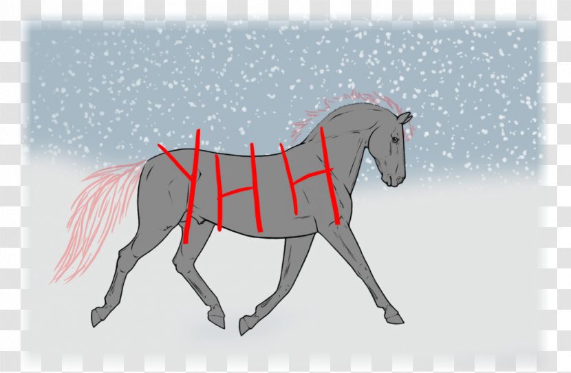 Mustang Stallion Foal Colt Bridle - Fictional Character Transparent PNG