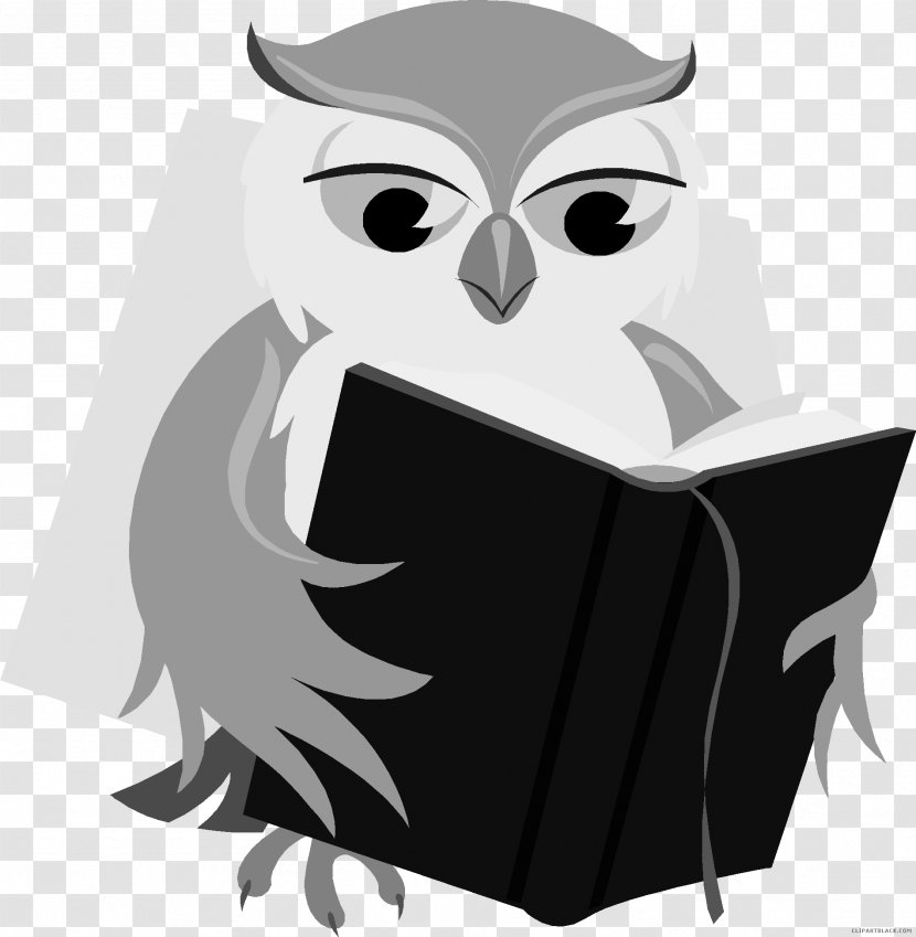Baby Owl Book Reading Clip Art - Beak Transparent PNG