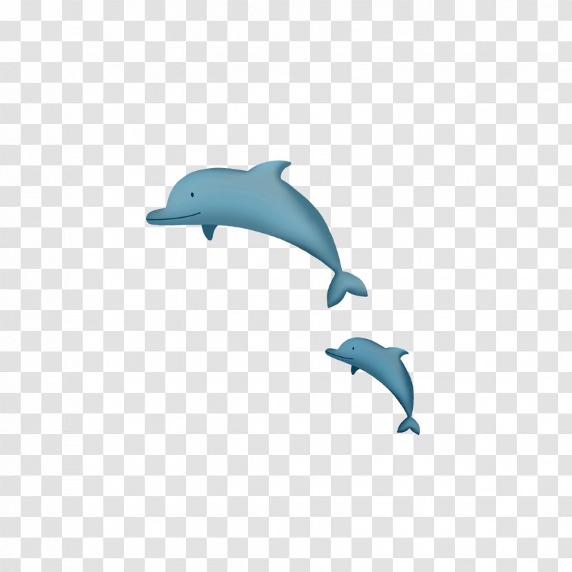 Common Bottlenose Dolphin Porpoise Tucuxi - Cartoon Whale Transparent PNG