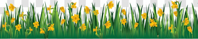 Flower Garden Clip Art - Daffodil - Grass Image, Green Picture Transparent PNG