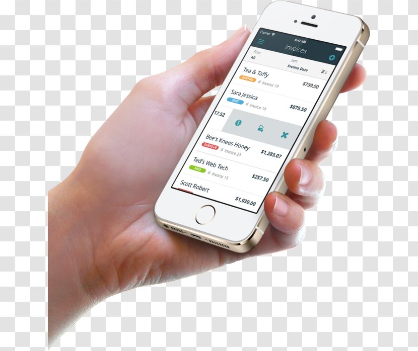 Invoice Mobile App Development Wave Transparent PNG