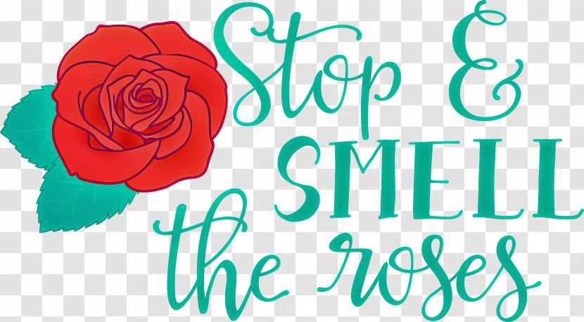 Rose Stop And Smell The Roses Transparent PNG