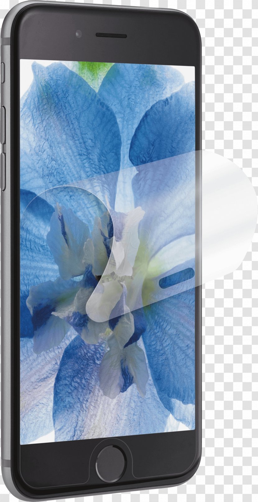 Smartphone Apple IPhone 7 Plus 5 6s Screen Protectors - Mobile Phones Transparent PNG