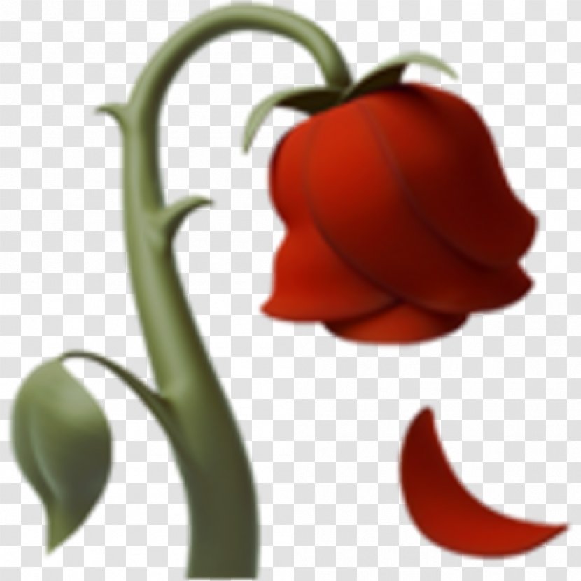 Emoji IPhone Sticker Rose - Flowering Plant Transparent PNG