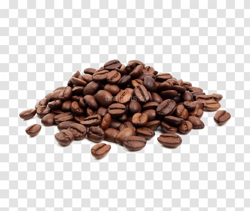 Coffee Bean Cafe Jamaican Blue Mountain Single-origin - Caffeine Transparent PNG