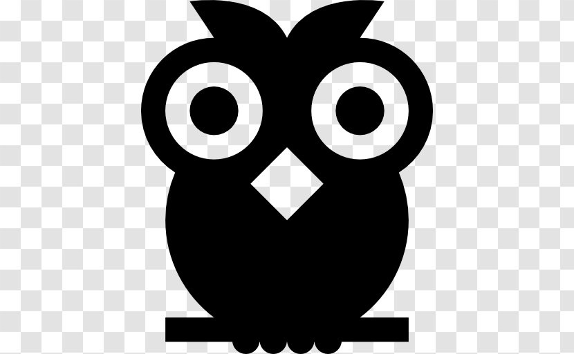Buho Vector - Beak - Owl Transparent PNG