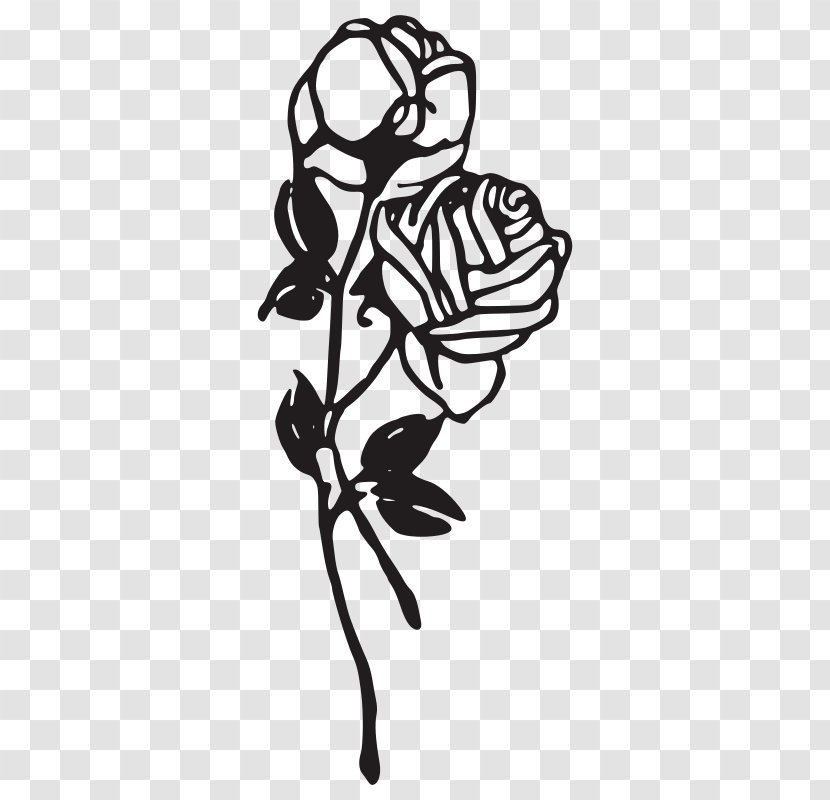 Black Rose And White Clip Art - Branch Transparent PNG