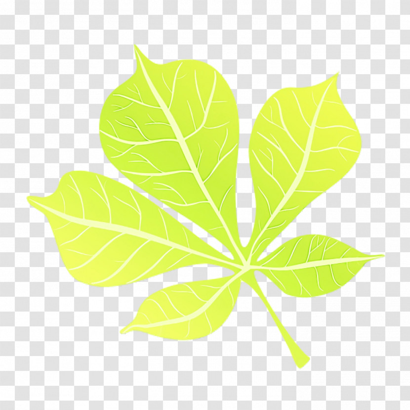 Plant Stem Leaf Mood Board Digital Art Flower Transparent PNG