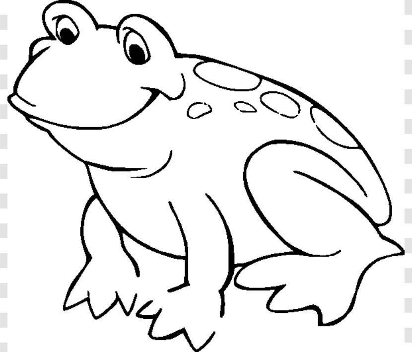 American Bullfrog Coloring Book Amphibian Child - Art - Image Of Frog Transparent PNG