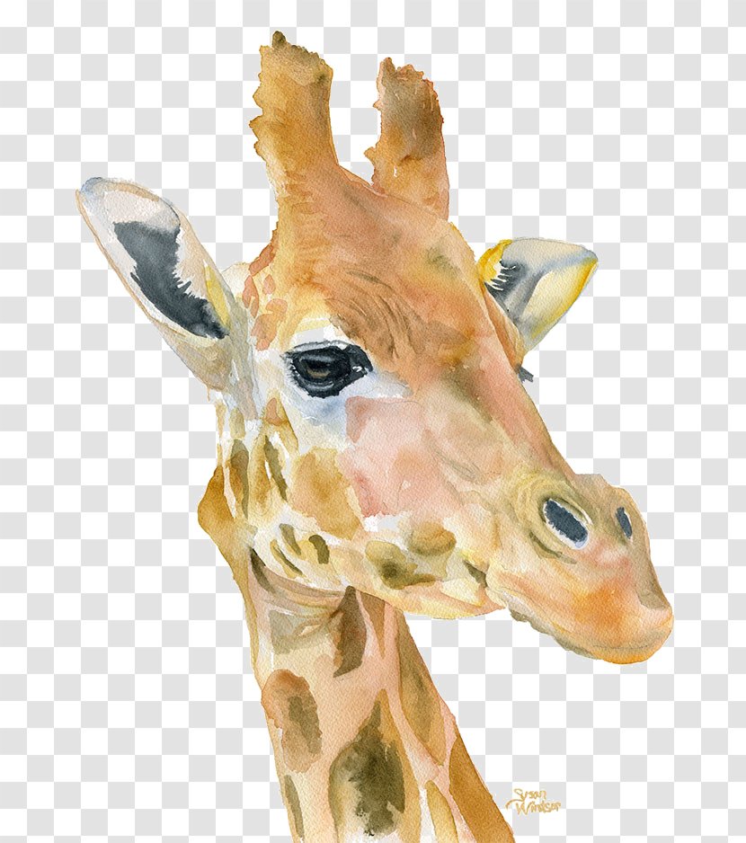 Giraffe Watercolor Painting Printmaking Art Transparent PNG