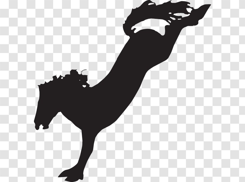 Miles City Bucking Horse Sale Bronco Clip Art - Mammal Transparent PNG