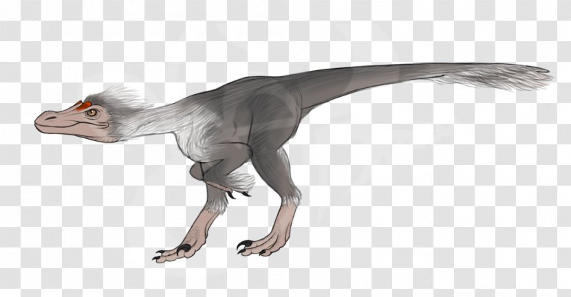 Velociraptor Pyroraptor Daspletosaurus Troodon Tyrannosaurus - Albertosaurus - Dinosaur Transparent PNG