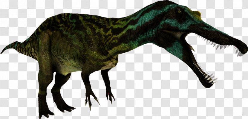Zoo Tycoon 2 Tyrannosaurus Suchomimus Spinosaurus Irritator - Dinosaur Transparent PNG
