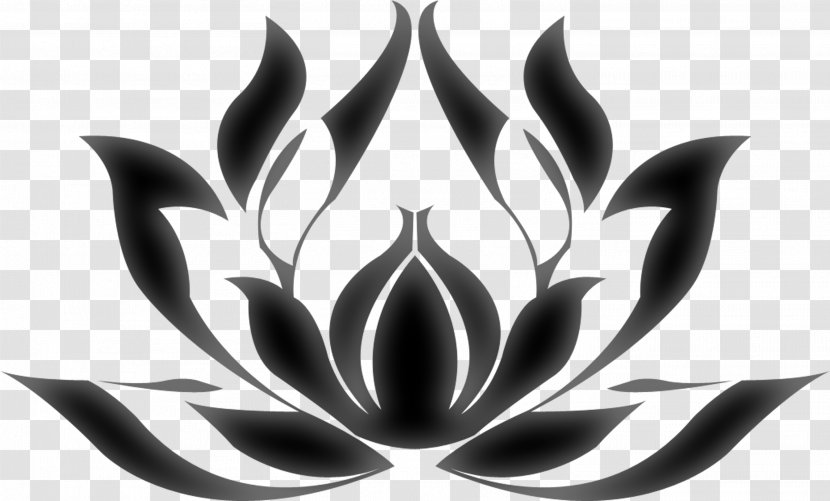 Nelumbo Nucifera Egyptian Lotus Nymphaea Plant Symbolism Transparent PNG