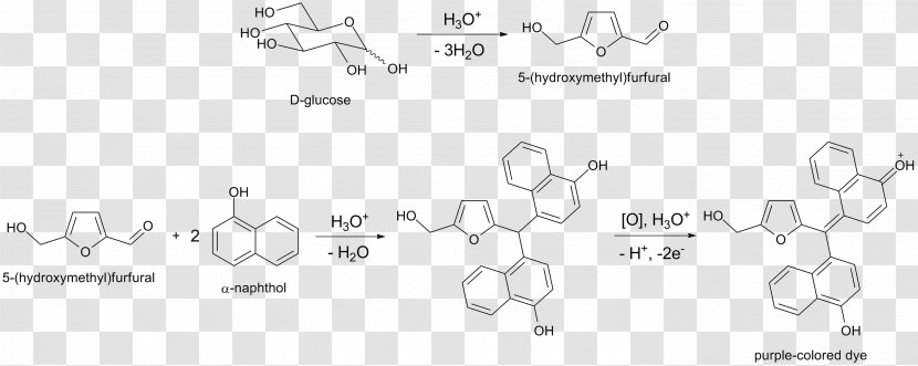 Molisch's Test Chemical Reaction Xanthoproteic 1-Naphthol Barfoed's - Acid - Text Transparent PNG