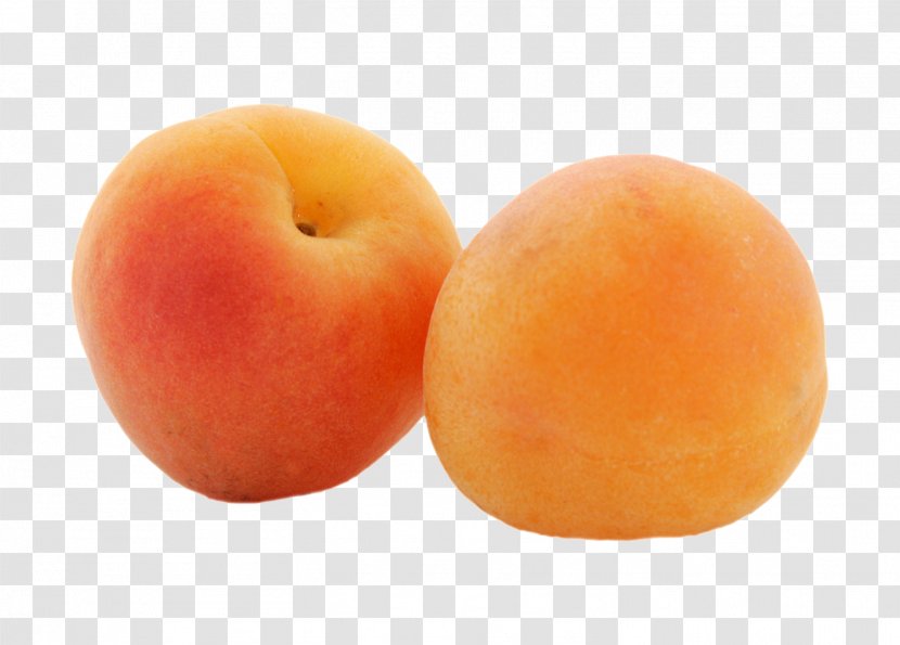 Peach Apricot Auglis Orange - Google Images - Nutrition Material Transparent PNG